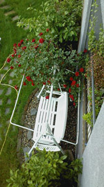 Foto0093
